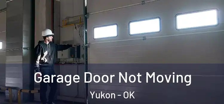  Garage Door Not Moving Yukon - OK